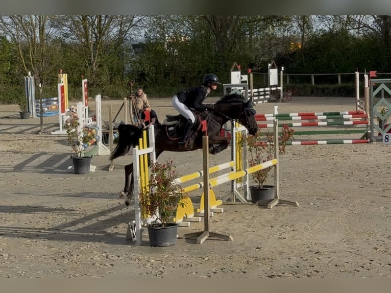Plaats vrij voor training onder het zadel