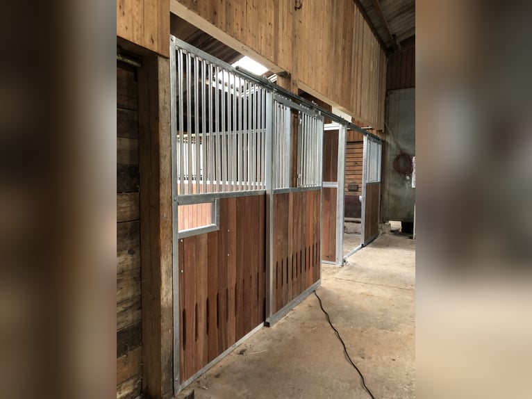 Ponys berijden en opleiden + lichte instructrice (49 kg)