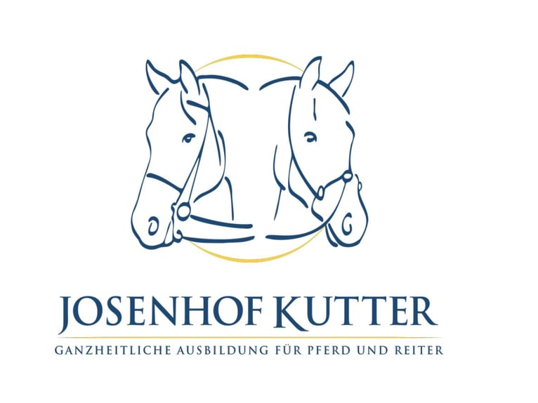 Ruiter- en paardenopleiding, longeerplaats, paardenopleiding, jongepaardenopleiding, opbouwtraining