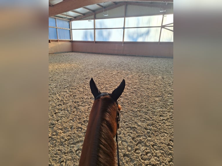 Training in het zuiden van Hamburg/Seevetal