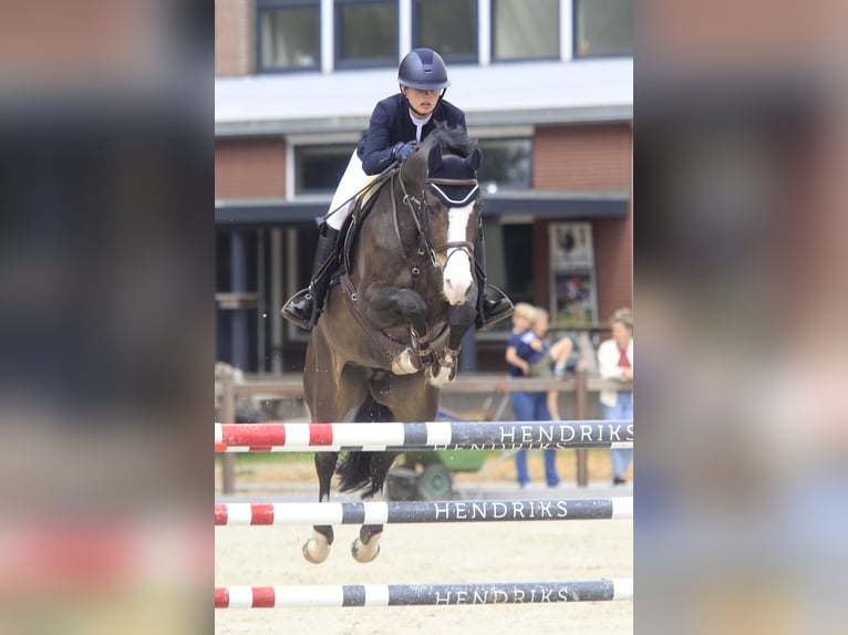 ⚜️ Vrije rijplaatsen beschikbaar ⚜️