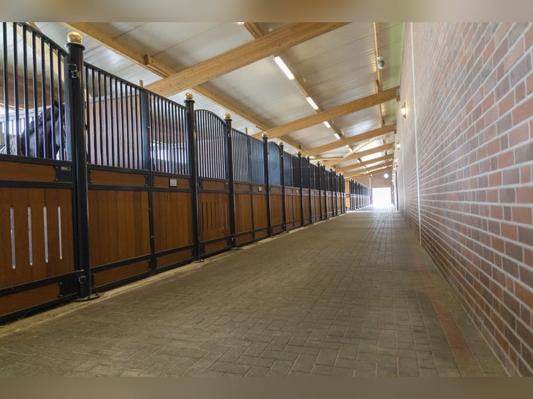 ⚜️ Vrije rijplaatsen beschikbaar ⚜️