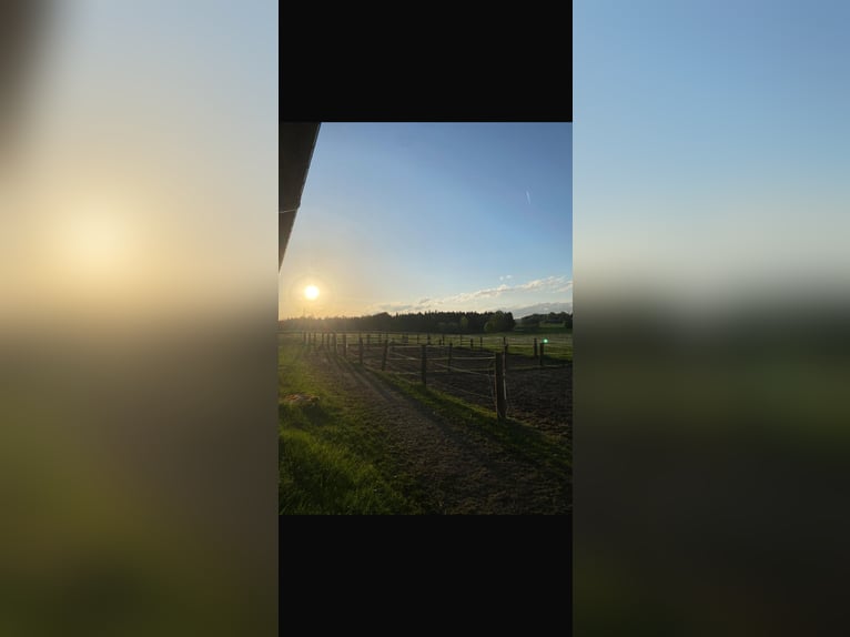 Wij hebben een vrij rijbaanplaats!