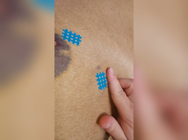 Aanbod: Dagcursus Bewegingsanalyse