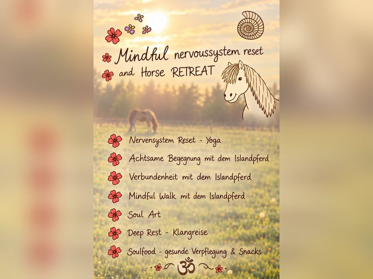 Bewuste zenuwstelsel reset en Paarden Retreat, 7-11-2026