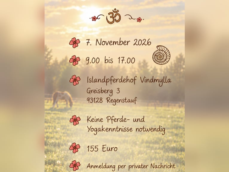 Bewuste zenuwstelsel reset en Paarden Retreat, 7-11-2026