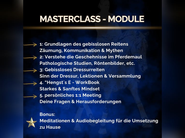 Gebissloses Dressurreiten ⭐MasterClass 2.0⭐Vorgespräch