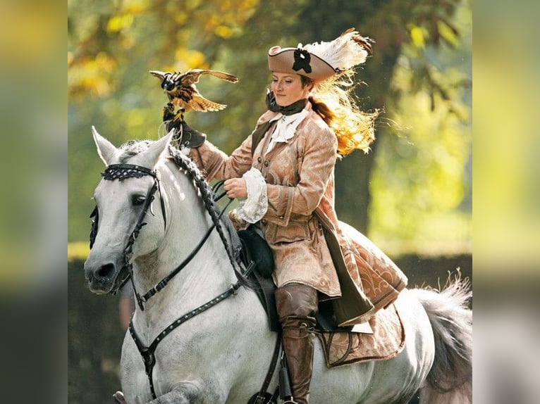 Individuele theorie- en rijles met Dr. Diana Krischke op 24-25 oktober 2026 op de Finca Barock