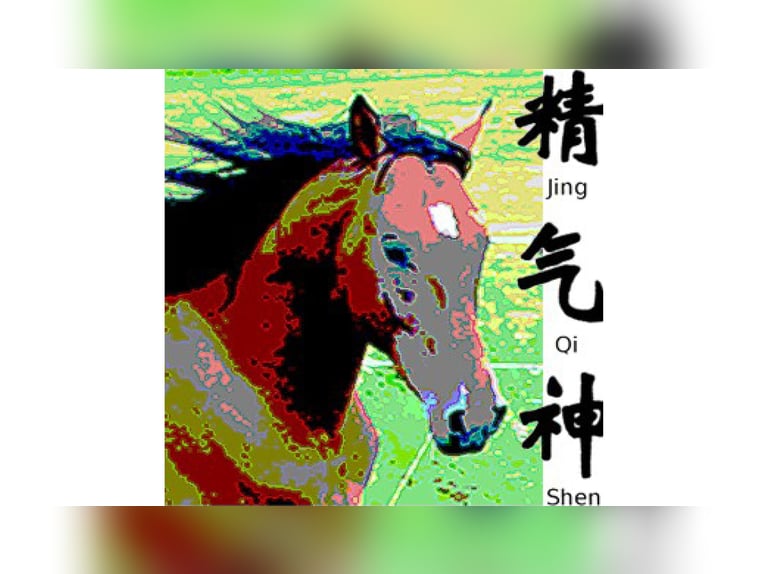 Opleiding Paardene Acupunctuur 2026