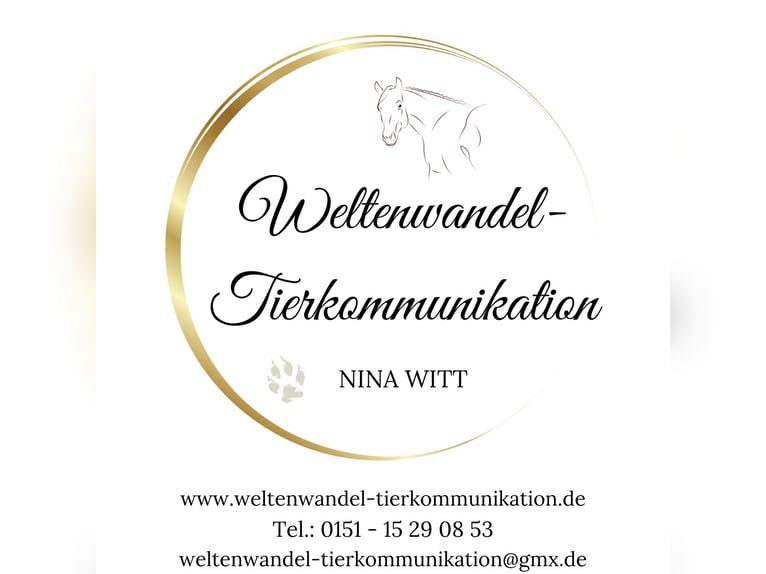 Weltenwandel-Tierkommunikation | Nina Witt