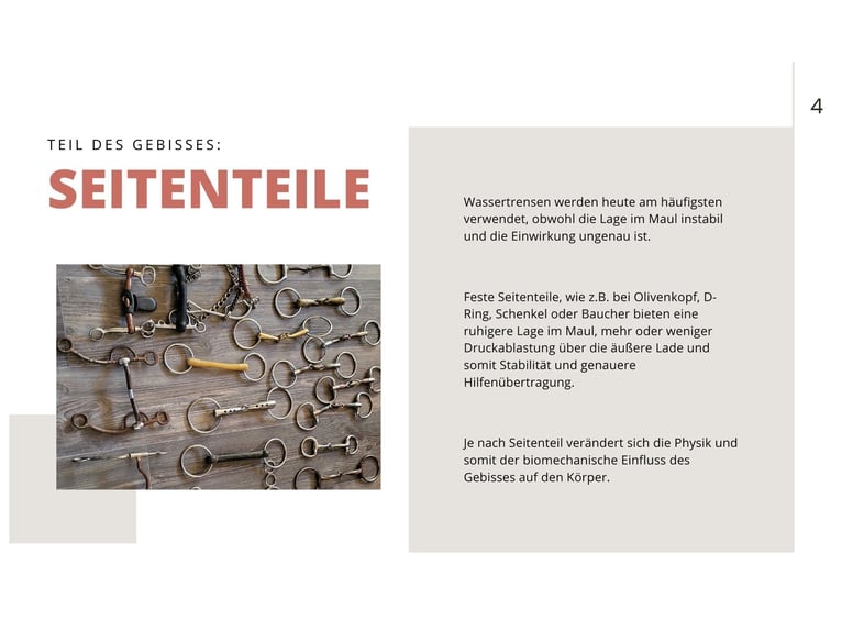 Workshop Gebitskunde op 29-8 in 21279 Wenzendorf