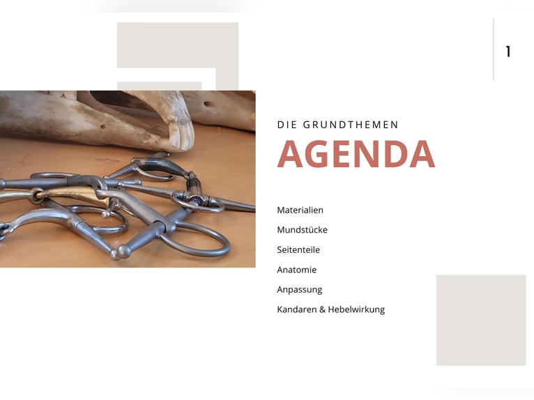 Workshop Gebitskunde op 29-8 in 21279 Wenzendorf