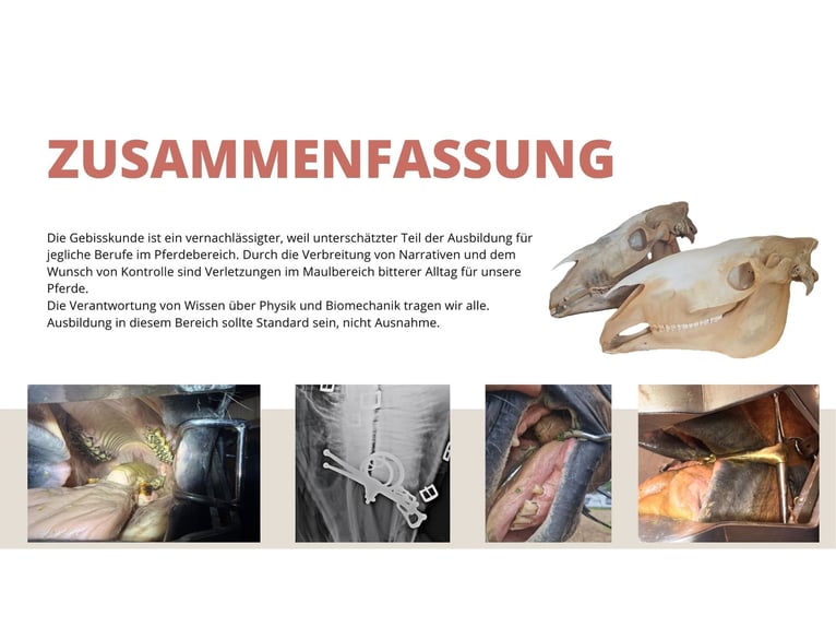 Workshop Gebitskunde op 29-8 in 21279 Wenzendorf