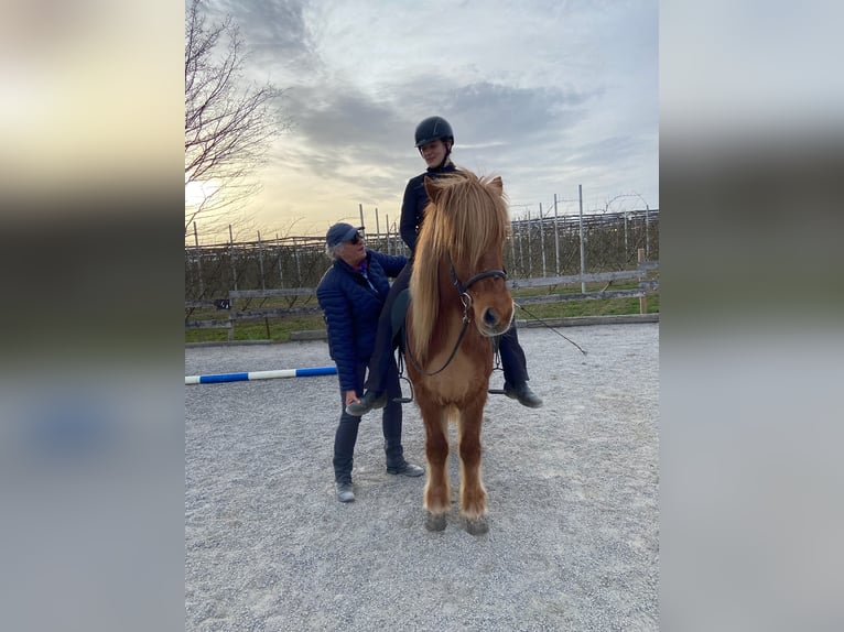 Yoga und Reiten 2. und 3. August Yoga und Reiten 2. und 3. August