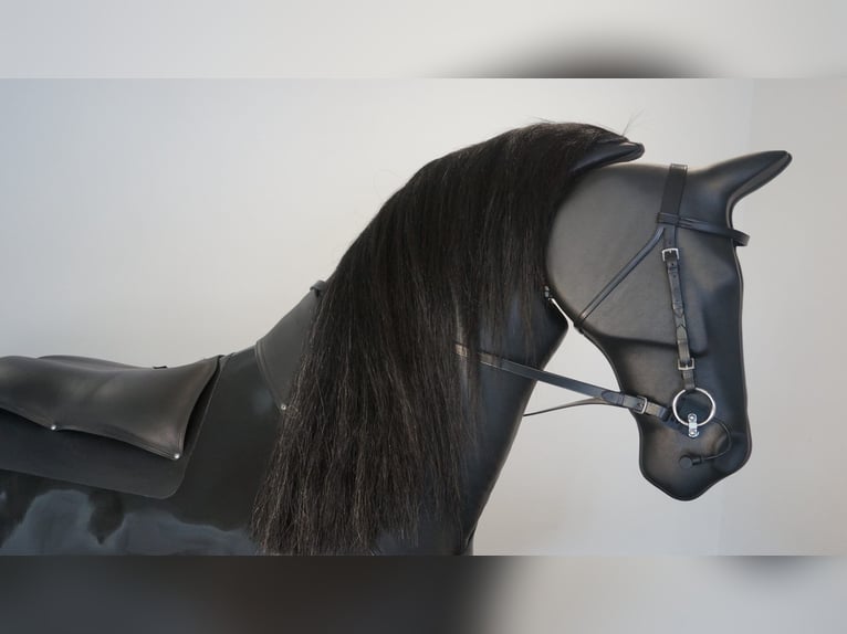 Dressuur- en Eventing Racewood Paardensimulator | Zithoudingtraining voor ruiters | Neurotraining