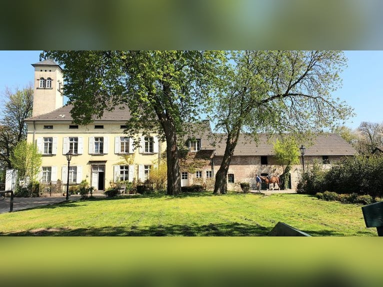 FREIBERUFLICHER SPRINGLEHRER (M/W/D) GESUCHT