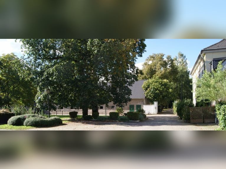 FREIBERUFLICHER SPRINGLEHRER (M/W/D) GESUCHT