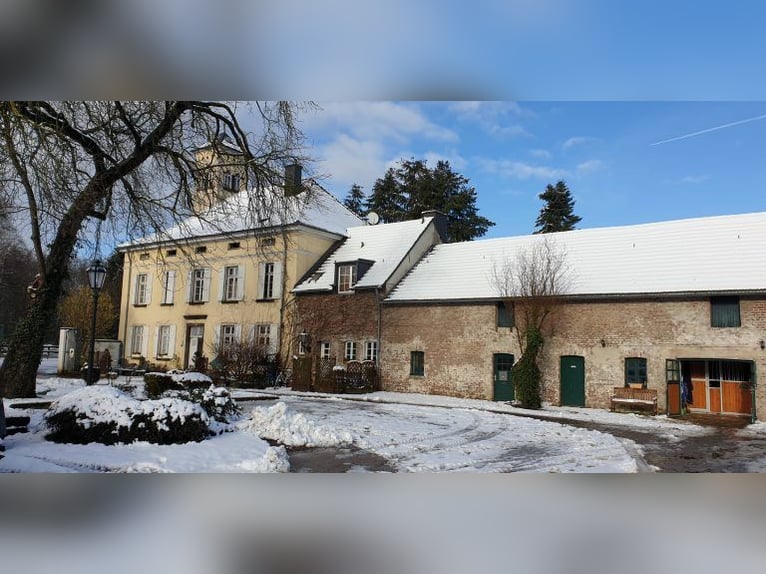 FREIBERUFLICHER SPRINGLEHRER (M/W/D) GESUCHT