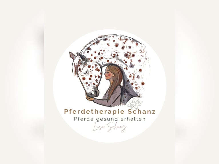 Fysiotherapie en osteopathie voor paarden