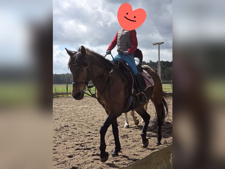 Groepsrijlessen