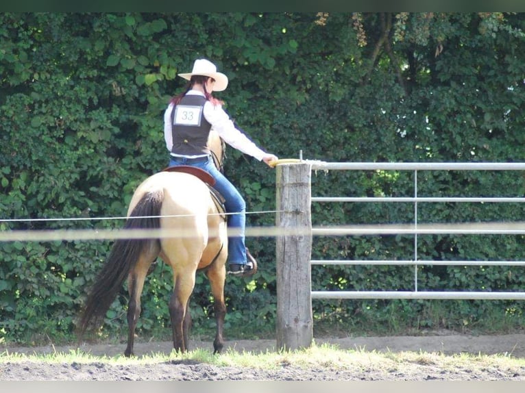 Individuele paardentraining, paardendoosteopathie, TGT, OsteoConceptCoach, NRW