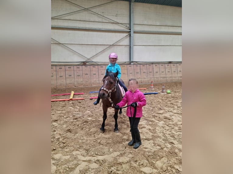 Kinderfeestje op de paardenboerderij