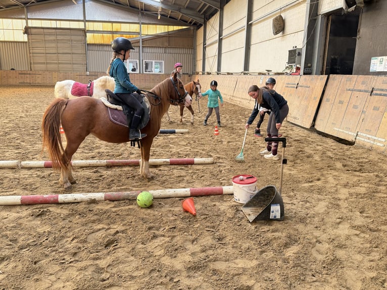 Kinderfeestje op de paardenboerderij
