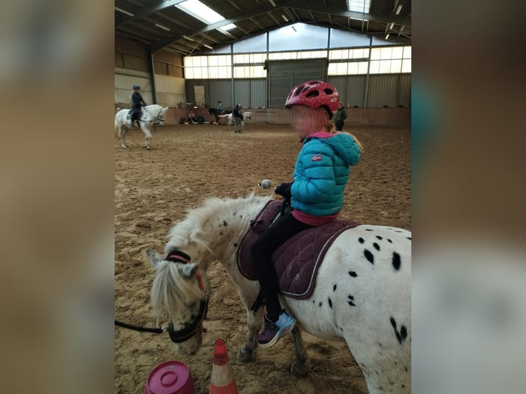 Kindergeburtstag auf dem Reiterhof