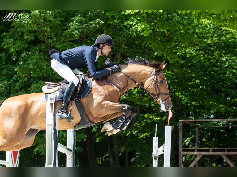 Leslessen met internationale jumpingruiters
