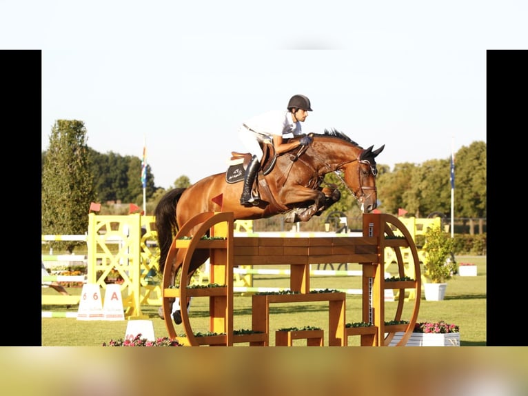 Leslessen met internationale jumpingruiters