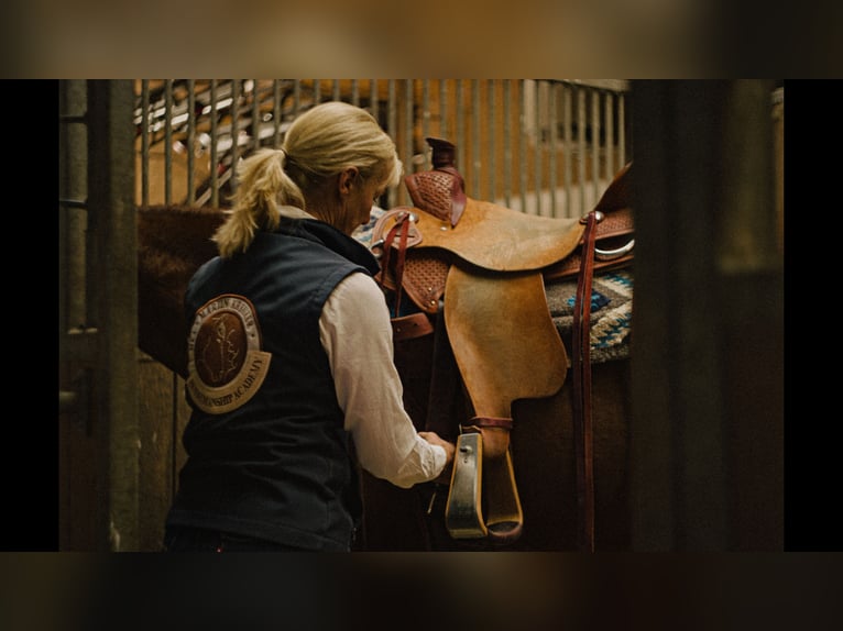 MKA Martin Kreuzer Horsemanship Academy Trainer