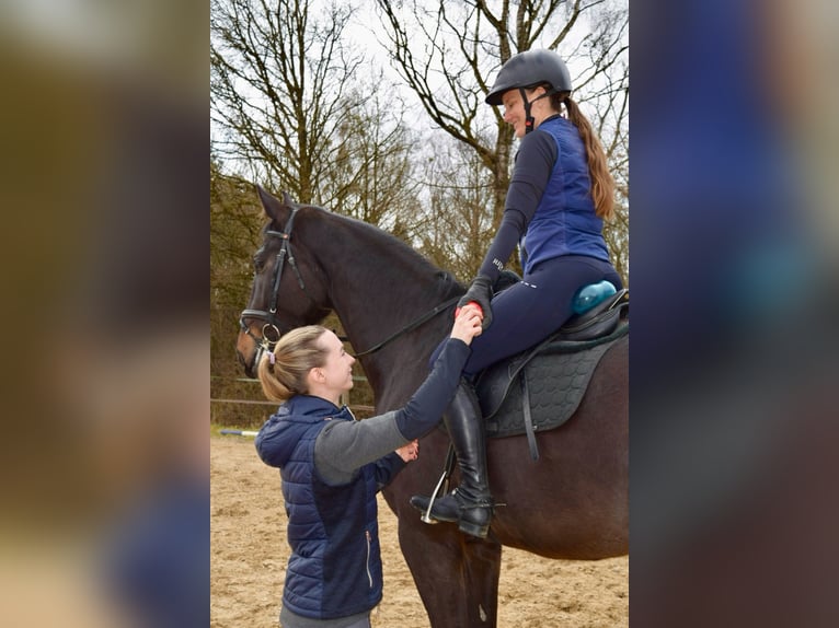Mobiler Reitunterricht und Beritt 
