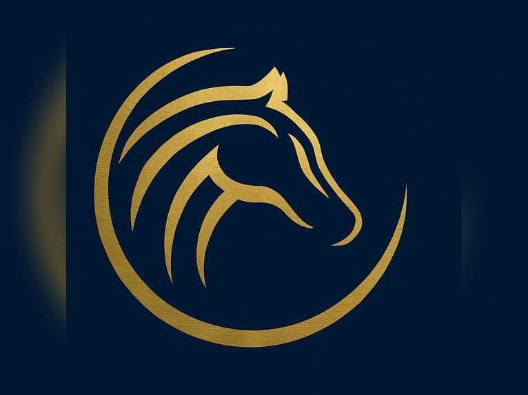 Paard Denken – Vakbekwaamheid in Paardentraining en Coaching