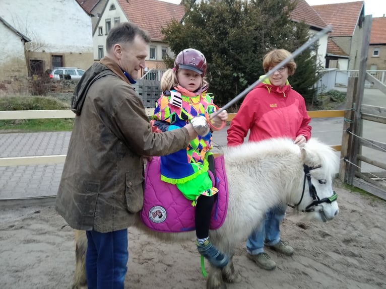 Reiten für Kinder und Jugendliche auf Ponys ab 3 Jahren auch Ausritte!