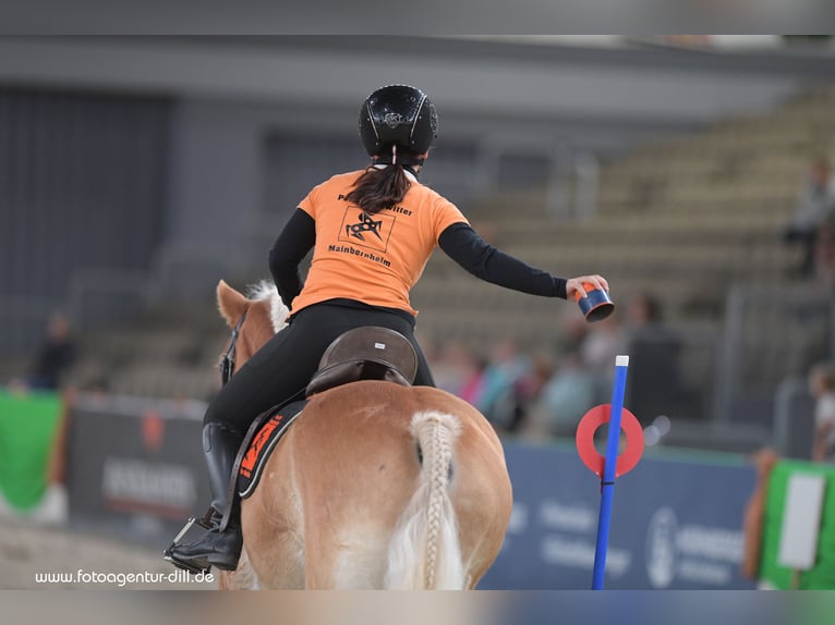 Reitunterricht für Erwachsen, Kinder und Jugendliche