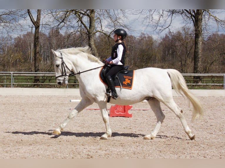 Reitunterricht für Erwachsen, Kinder und Jugendliche