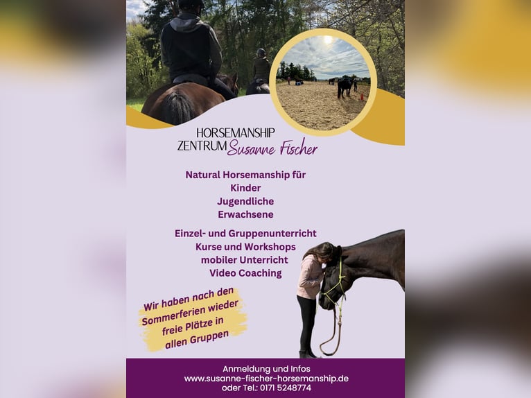 Reitunterricht Natural Horsemanship für Kinder, Jugendliche und Erwachsene