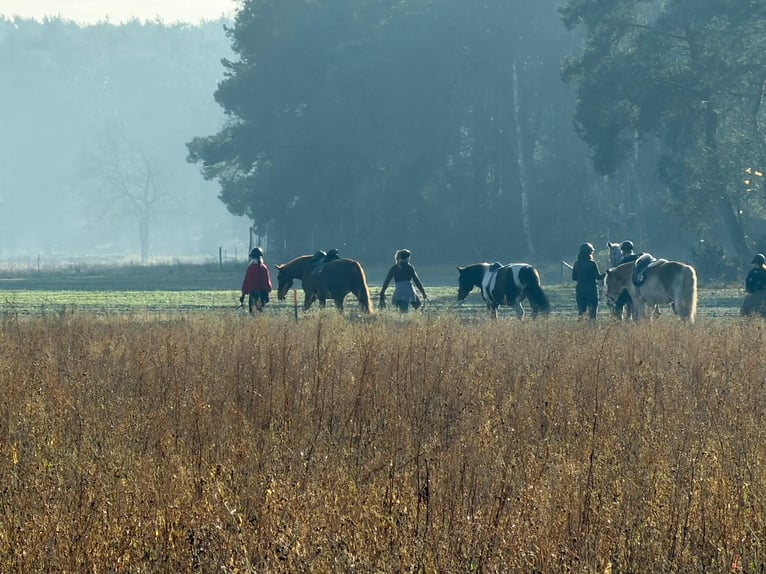 Rijlessen voor volwassenen