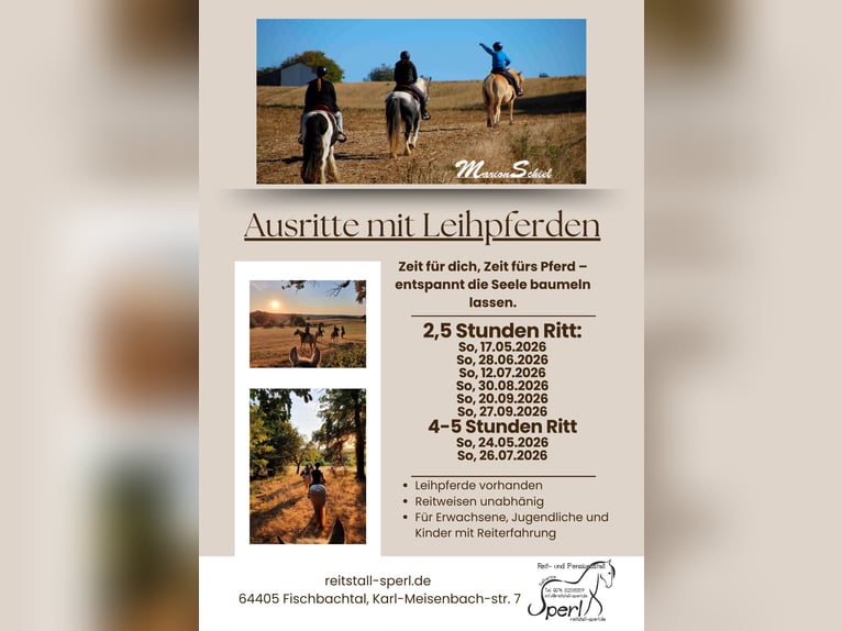 Uitritten & dagritten