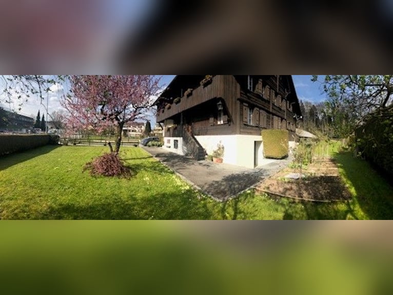 Paardrijinstructeur / -instructrice – Specialisatie Paardenzorg en Service (100%) ZWITSERLAND