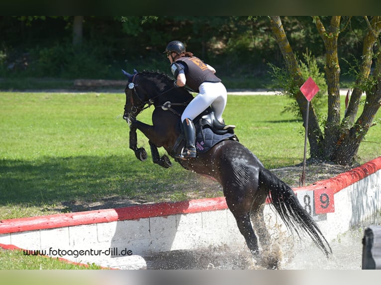 Keine Lust auf Fitnessstudio ?