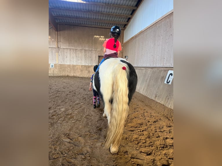 Gezocht: Paardrijleraar (m/v/d) voor kinderen en beginners in Berlijn