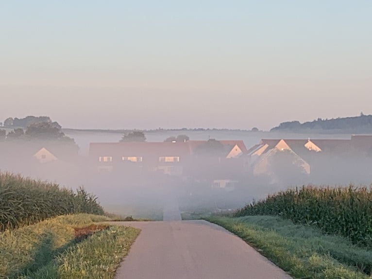 Zoek naar een manager voor de manege bij Hotel Reiterhof Altmühlsee