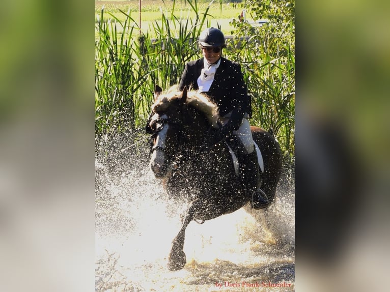 Zoek naar een manager voor de manege bij Hotel Reiterhof Altmühlsee