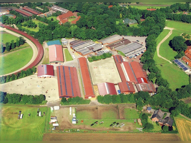 Motivated insemination technician (m/f) wanted for the Paul Schockemöhle breeding station!