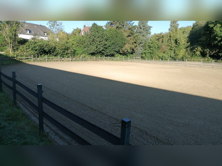 Parttime stalhelfer of tijdelijke hulp
