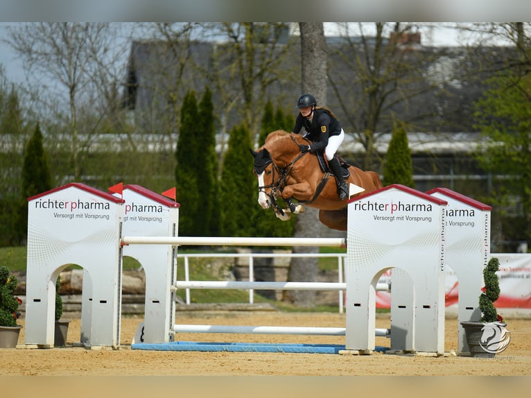 Beschikbare rijbanen