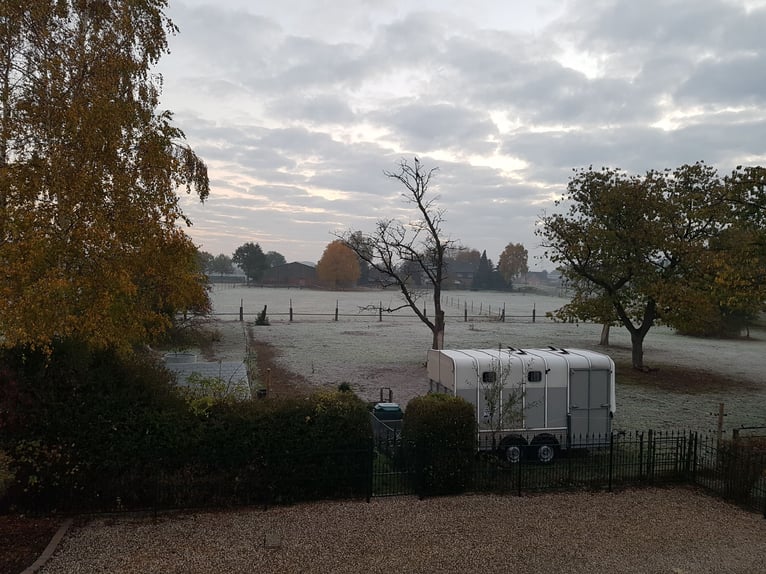 Gezocht: ruiter met gevoel