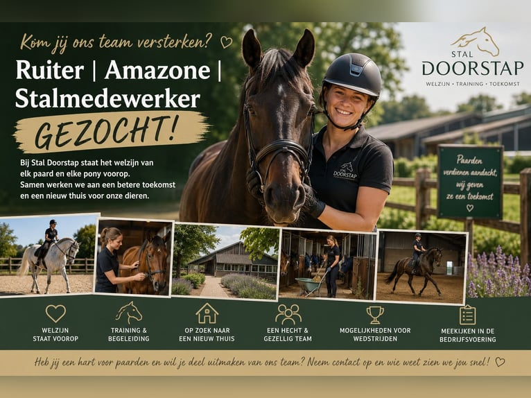 Ruiter | Amazone | Stalmedewerker Gezocht