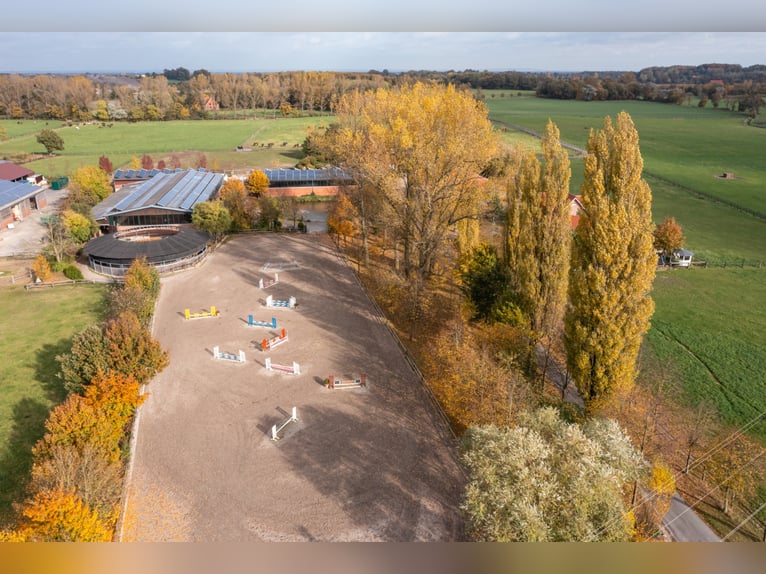 Zoekt ervaren instructeur!